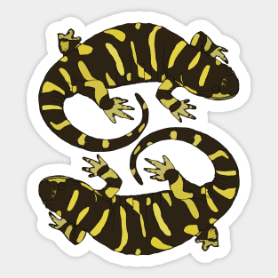 Lizards Sticker